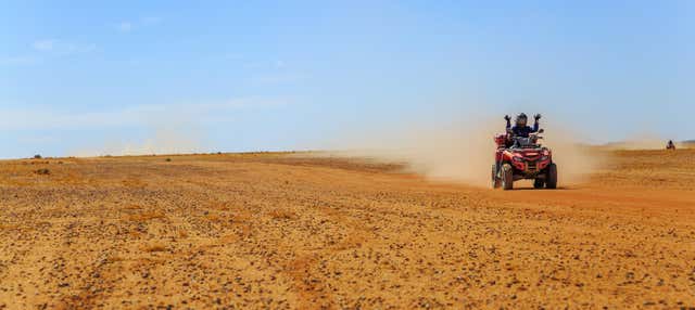 Tour in buggy + Giro in cammello