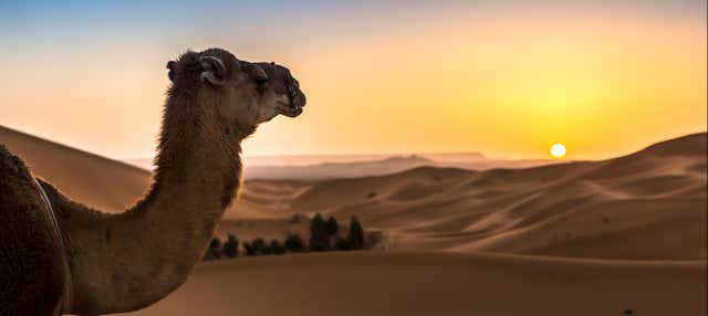 Alba o tramonto nel deserto di Merzouga