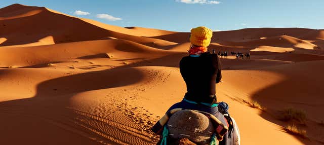 Giro in cammello e notte nel deserto