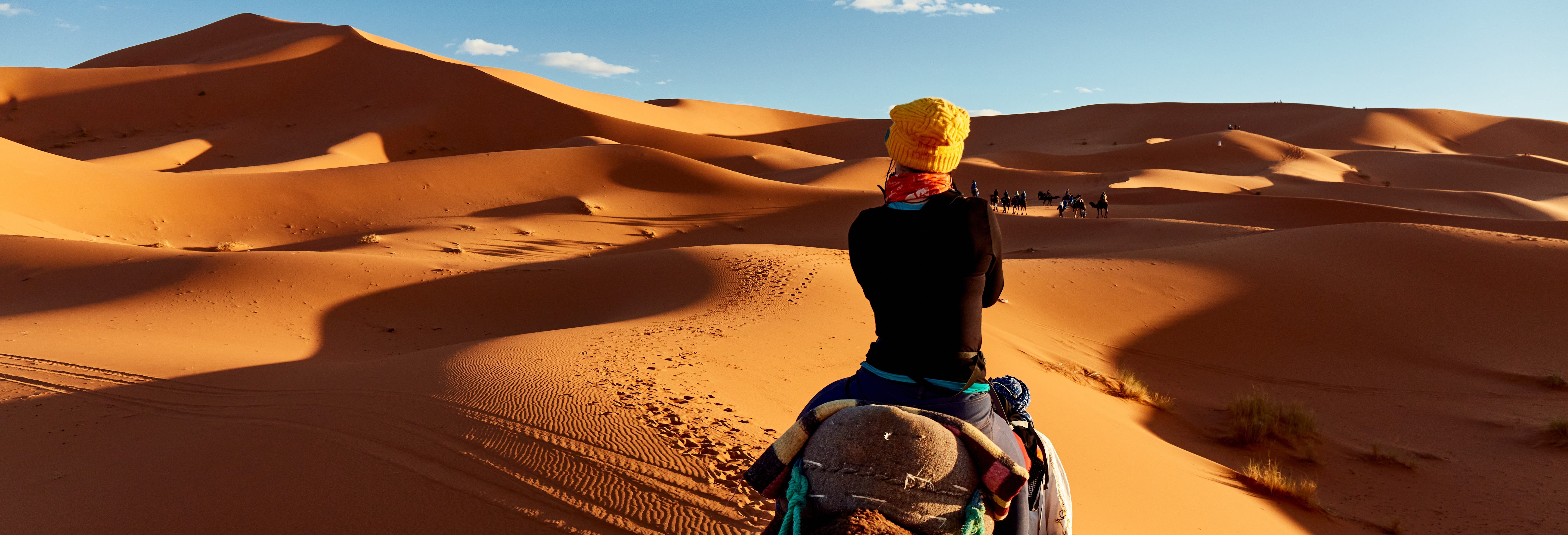 Overnight Desert Camel Trek