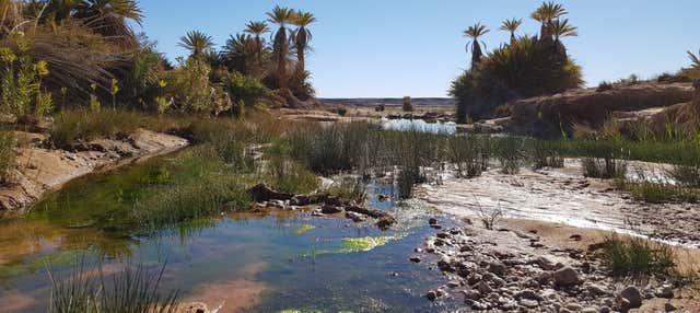 Tour in 4x4 nel deserto e cava dei fossili di Erfoud