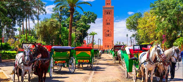 Escursione a Marrakech