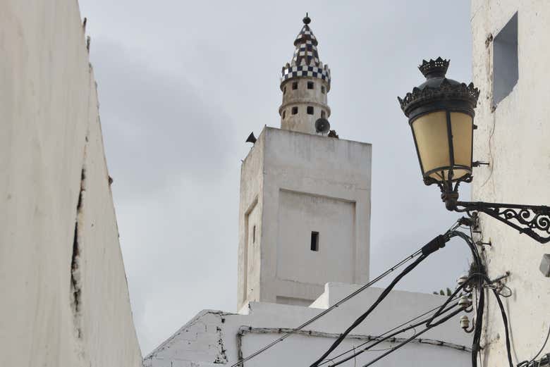 Imagen 5