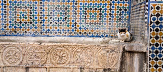 Visita guidata di Tetouan