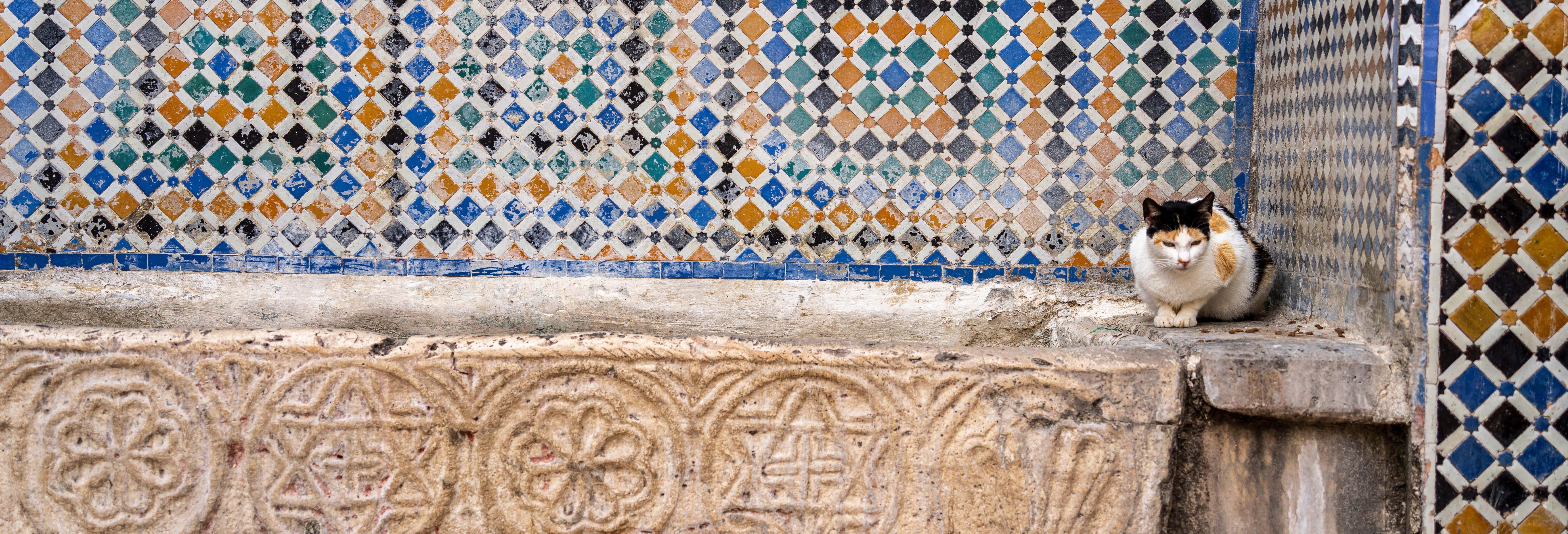 Tétouan Guided Tour