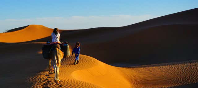 Passeggiata in cammello e notte nel deserto