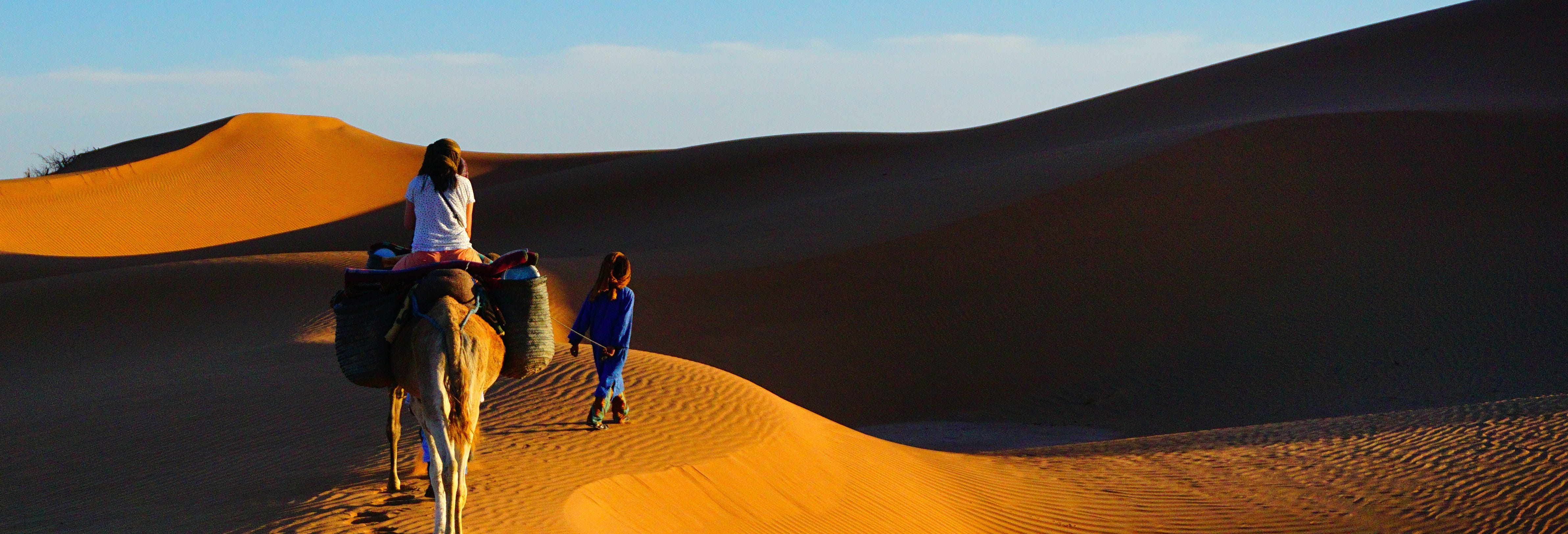 Camel Ride and Night in the Desert