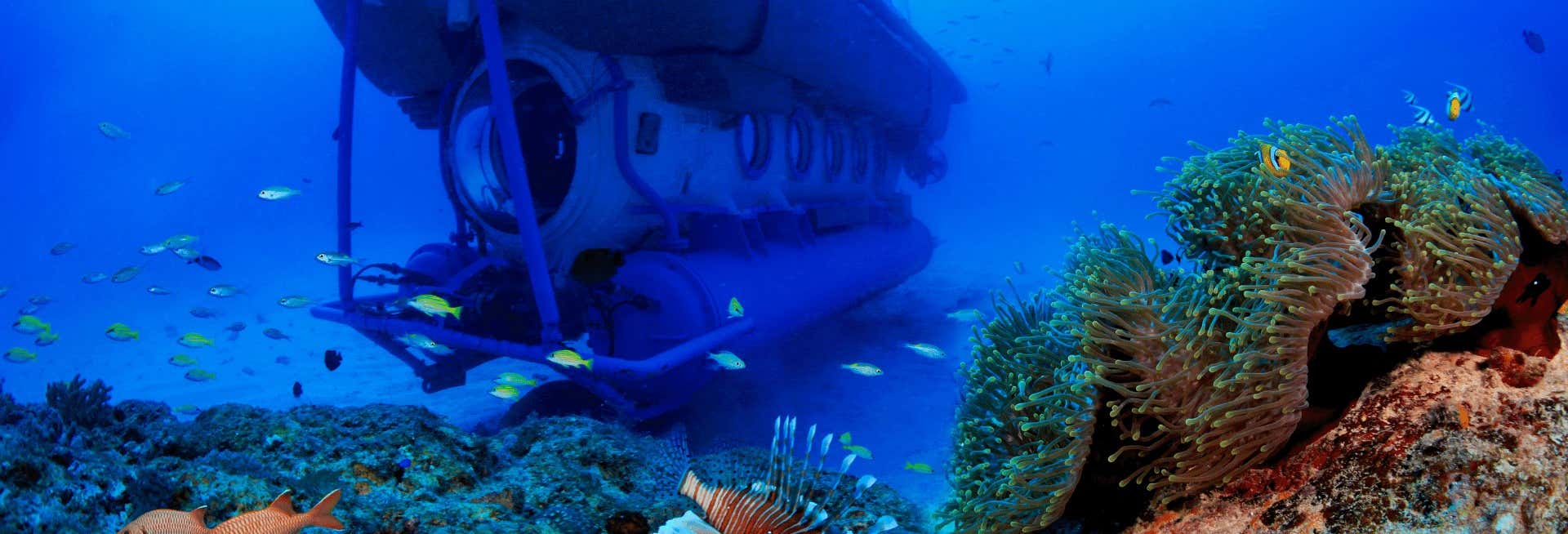 Giro in sottomarino a Grand Baie