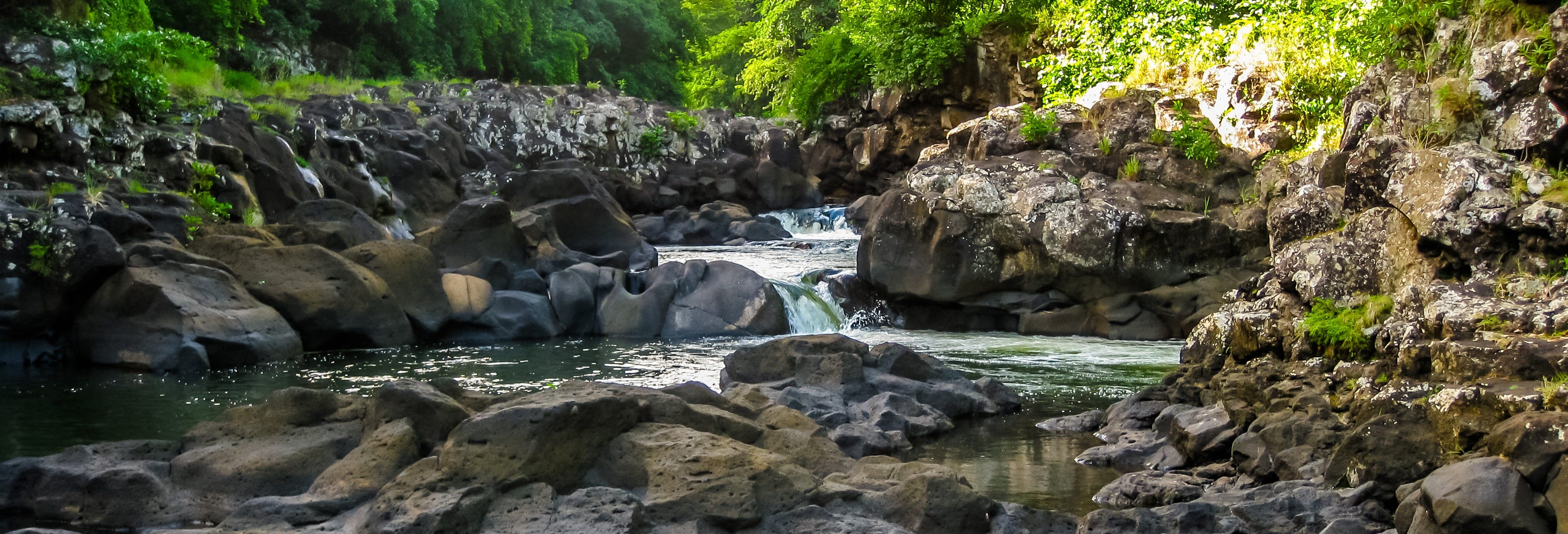 Black River Gorges Hiking Tour