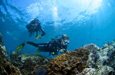 Acapulco Scuba Diving Introduction