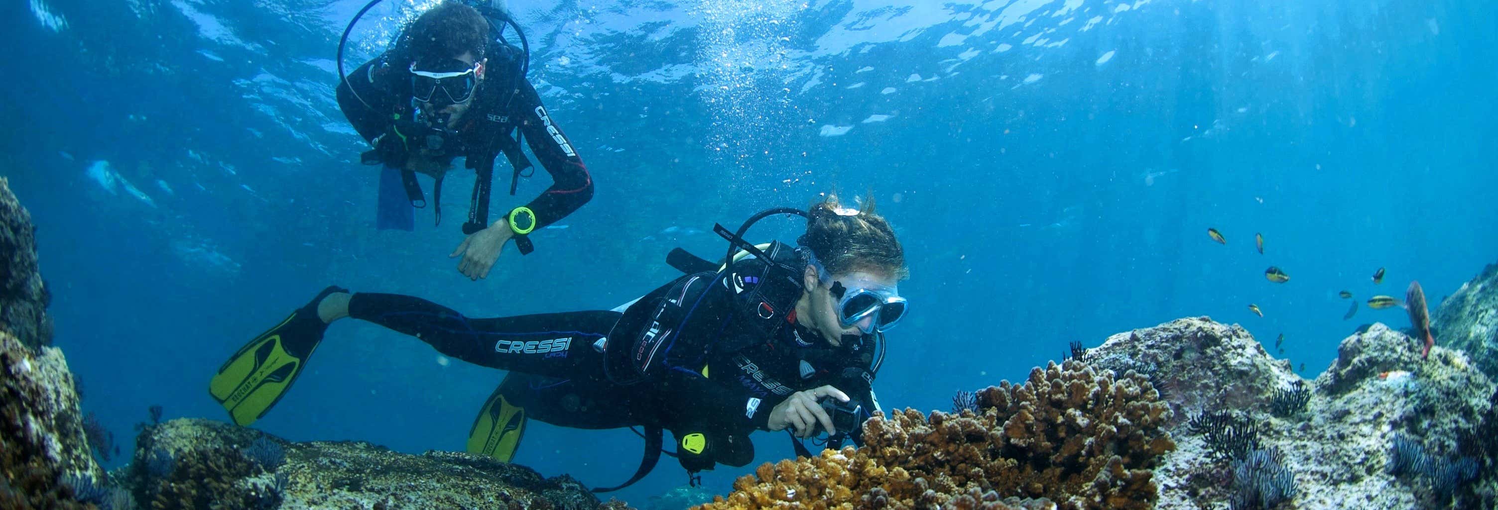 Immersione per principianti ad Acapulco