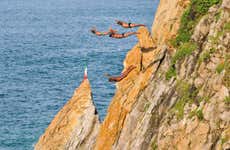 Acapulco Dive Show