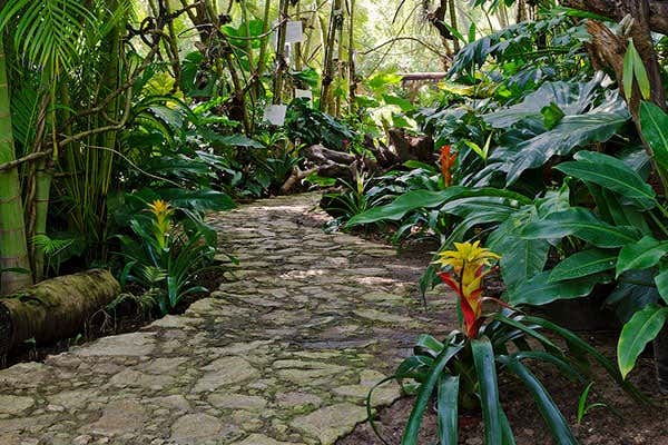 Tour por el Jardín Botánico de Acapulco