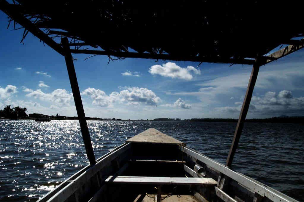 Liberación de tortugas en la laguna de Coyuca