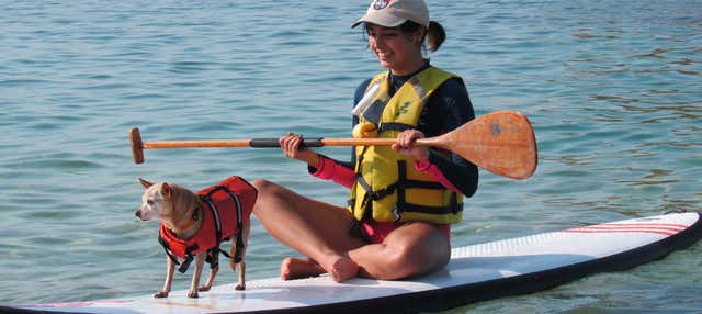 Paddle surf all'isolotto El Morro