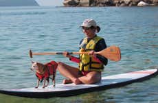 Isla El Morro Paddleboarding