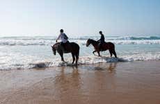 Horseback Riding on Bonfil Beach