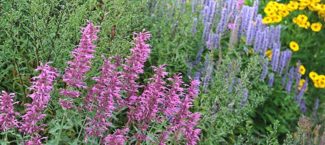 Tour del Giardino Botanico di Acapulco