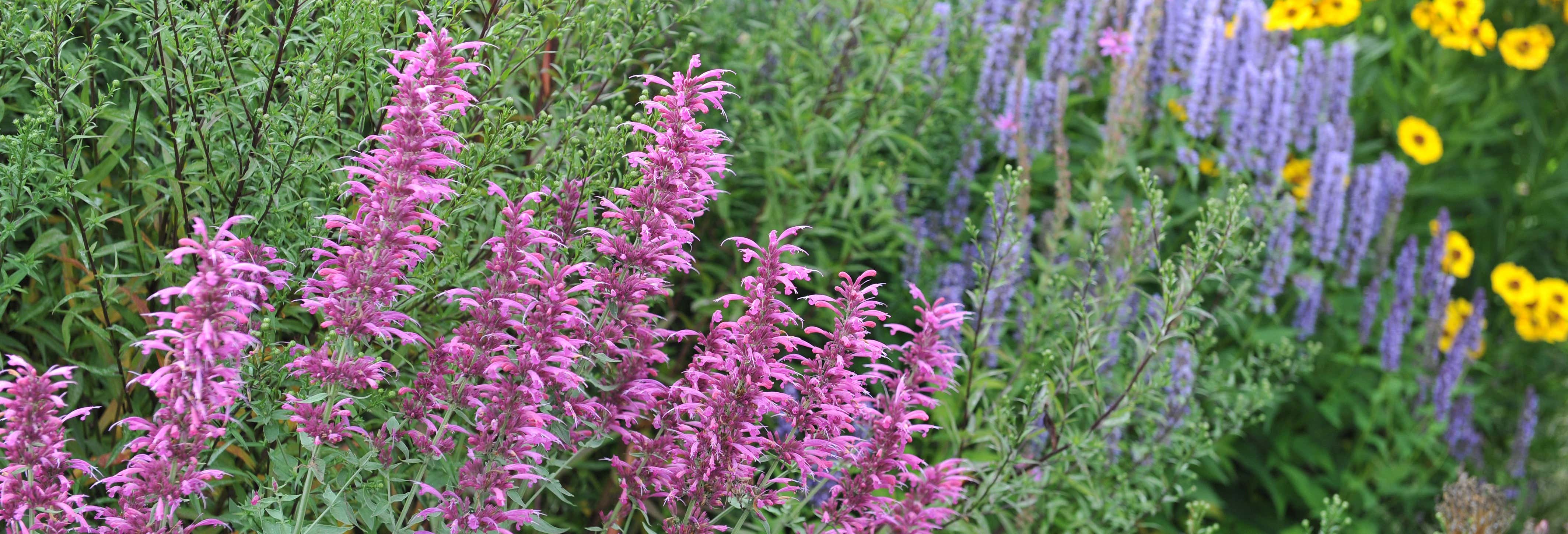 Tour del Giardino Botanico di Acapulco