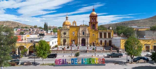 Excursión a Real de Asientos + Vinícola El Secreto