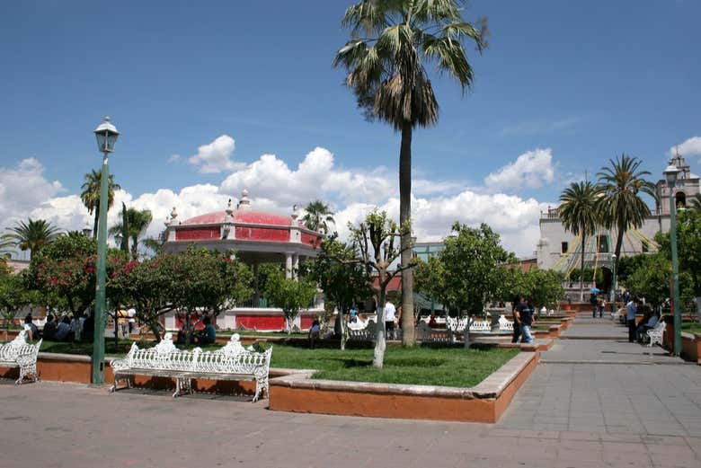 Imagen 4