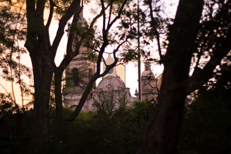 Imagen 8