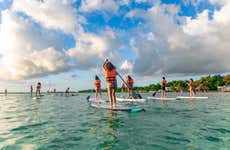 Sunrise Paddle Surfing in Bacalar Lagoon