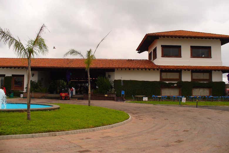 Imagen 6