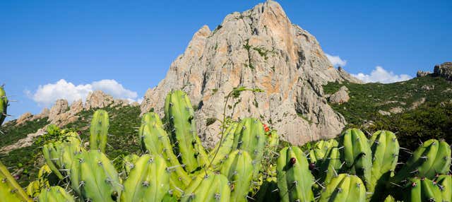 Senderismo por la Peña de Bernal al amanecer
