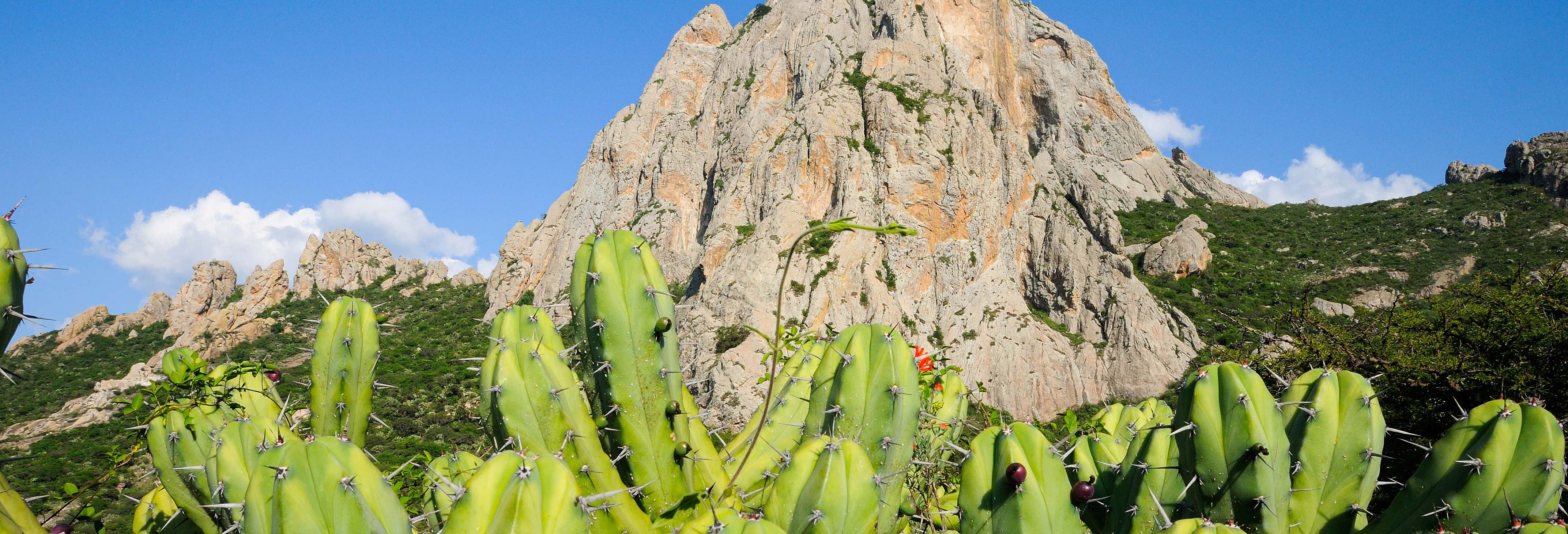 Senderismo por la Peña de Bernal al amanecer