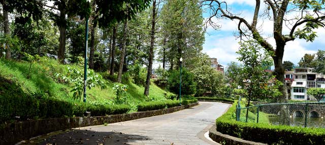 Excursão a Xalapa, Xico e Coatepec