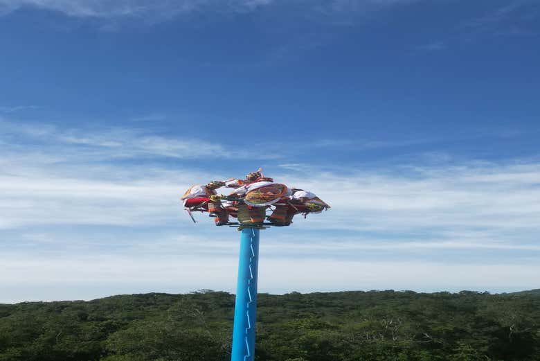 Imagen 12