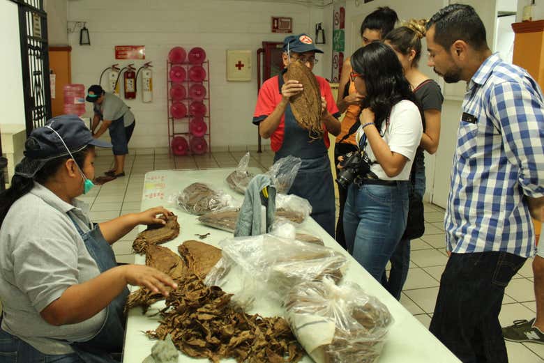 Imagen 3