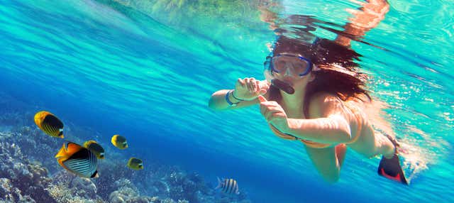 Snorkeling all'isola di Enmedio