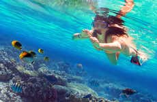 Isla de Enmedio Snorkeling Trip