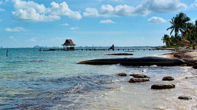 Cancún