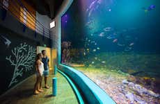 Interactive Aquarium Cancun Ticket