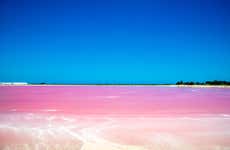 Excursão a Las Coloradas