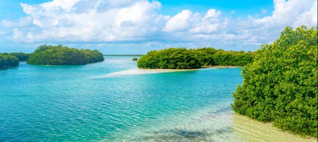 Excursión a Sian Ka'an + Paseo por Muyil