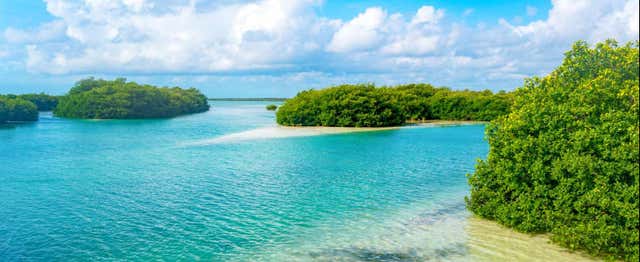 Excursion à Sian Ka'an + Balade à Muyil