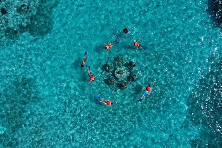 Excursión a Puerto Maya