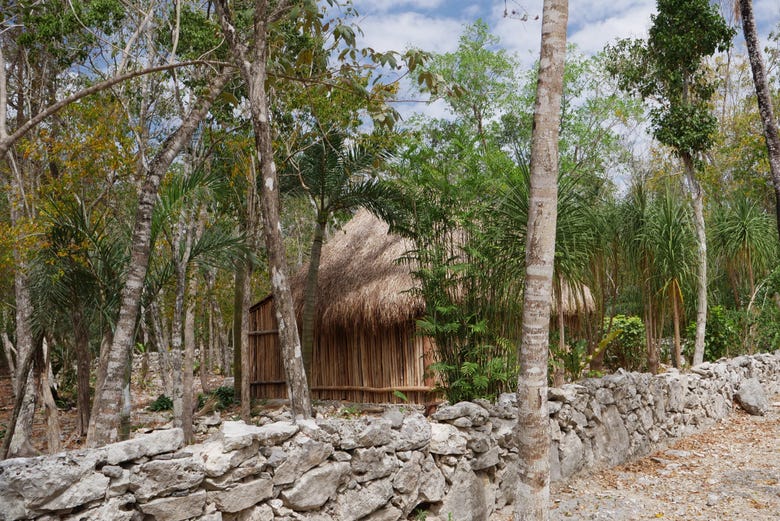 Imagen de Excursión a Cobá y una aldea maya