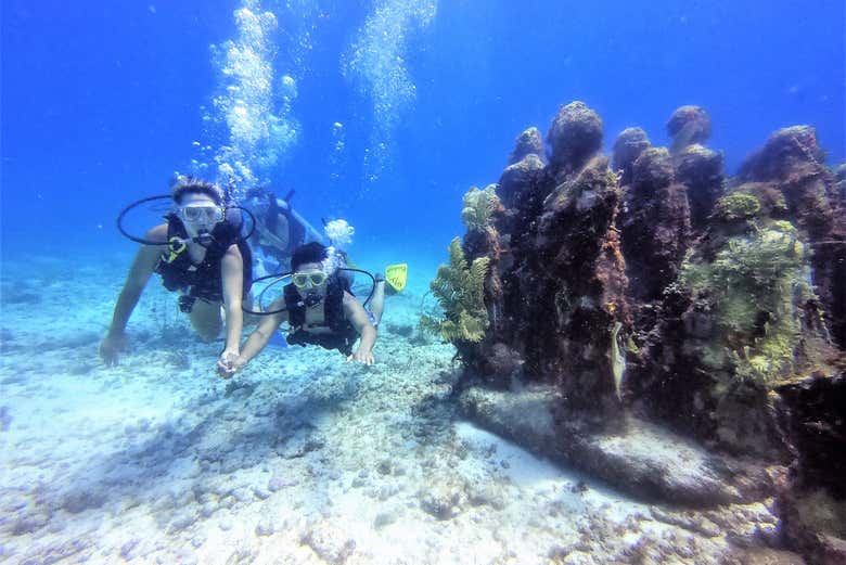 Buceo en el MUSA
