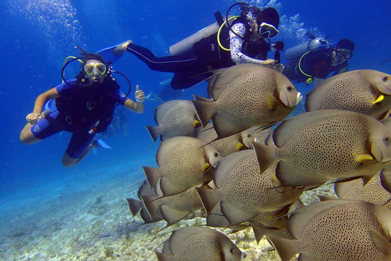 Buceo en el MUSA