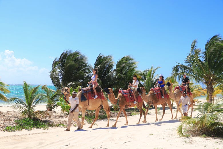 Imagen de Paseo en camello por Riviera Maya