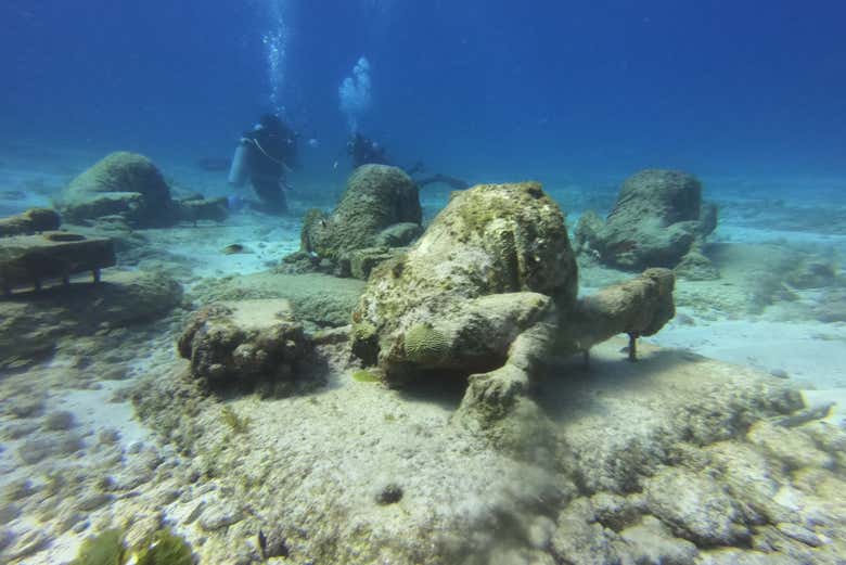 Buceo en el MUSA