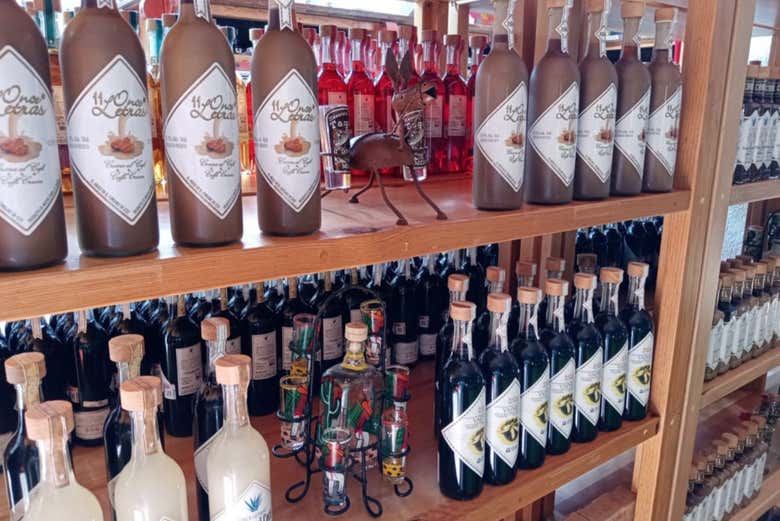 Free tour por Cancún