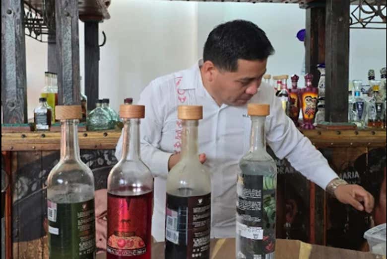 Free tour por Cancún