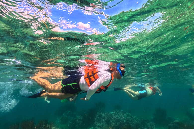Snorkel en Puerto Morelos