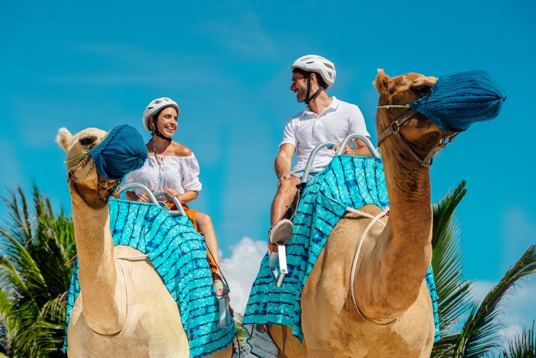 Paseo en camello por Riviera Maya